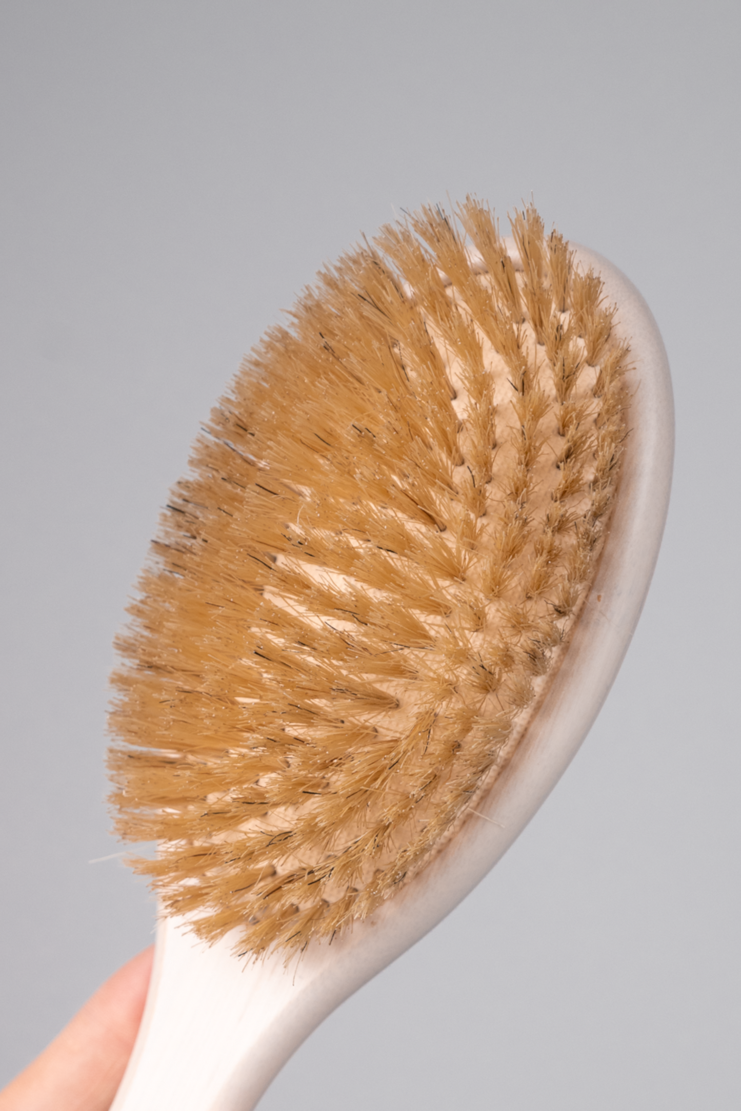 BOAR BRISTLE BRUSH AIR CUSHION